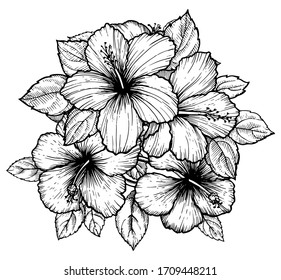 3,815 Hibiscus engraving Images, Stock Photos & Vectors | Shutterstock