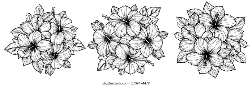 Hand drawn tropical hibiscus flower bouquet with leaves. Sketch florals on white background. Exotic blooms, engraving style for textile, surface design or banner. Great template for coloring book