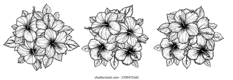 Hand drawn tropical hibiscus flower bouquet with leaves. Sketch florals on white background. Exotic blooms, engraving style for textile, surface design or banner. Great template for coloring book