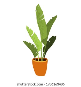 Hand drawn tropical home plants. Scandinavian style illustration, modern and elegant home decor. Illustration of houseplants, indoor and office plants in pot.