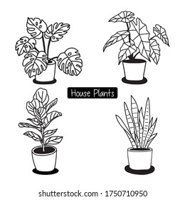 Hand drawn tropical house plants in pots. 