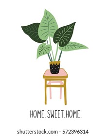 Hand drawn tropical house plants. Scandinavian style illustration with alocasia, modern and elegant home decor. Vector print design with lettering - ' home sweet home '.