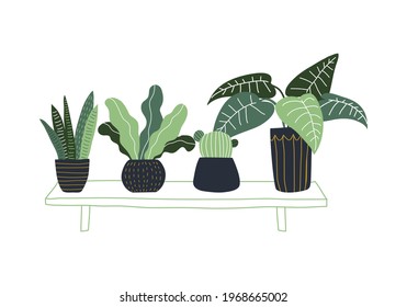 hand drawn tropical house vector