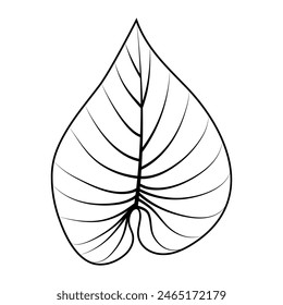 Hand drawn tropical leaf. Doodle vector illustration. Isolated icon on white background.
