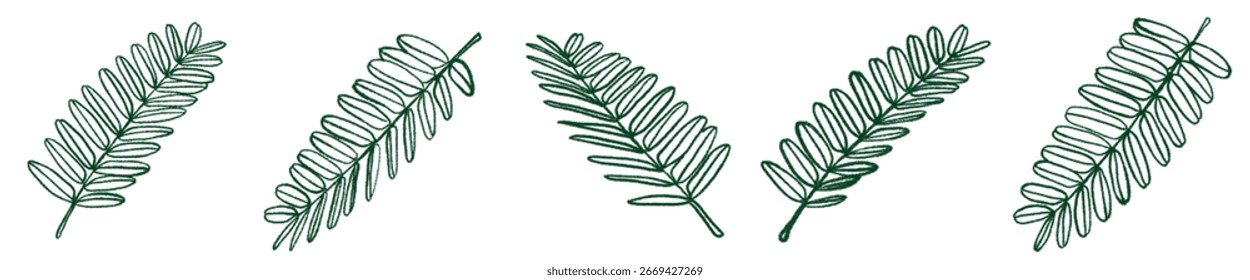 Dibujado a mano Tropical Leaf Line Art PNG Clipart para el diseño
