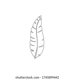 Hojas tropicales dibujadas a mano. Sólo el esquema.