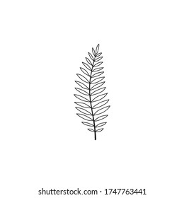 Hand drawn tropical leaf. Only the outline.