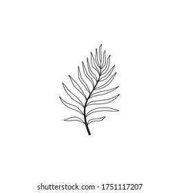 Handgezeichnetes tropisches Blatt. Nur die Umrisse.