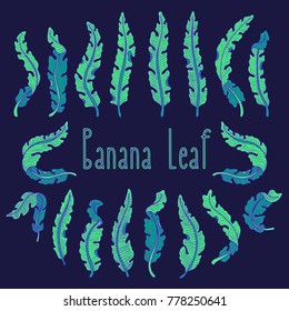 Hand drawn tropical leaf set with green banana leaves on dark background. Hand drawn jungle illustration for your design, print, interior, wallpaper, fabrics