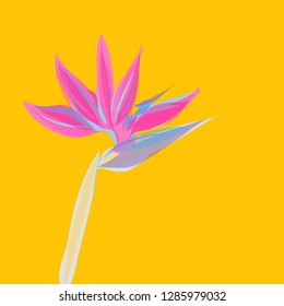 hand drawn Tropical leaf vector illustration template for cards