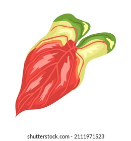 Hojas tropicales dibujadas a mano. Elemento floral aislado. Impresión, diseño de afiches. Ilustración del vector