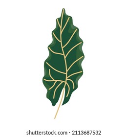Hand drawn tropical leaves. Floral element isolated. Print, poster design. Vector illustration