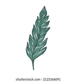 Hand drawn tropical leaves. Floral leaf element isolated. Print, poster design. Vector illustration