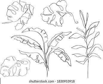 hand drawn tropical leaves illustration. black and white botanical drawing. drawn by one line.