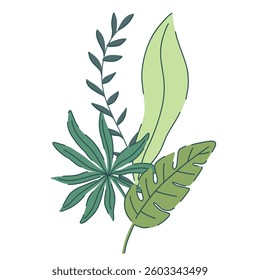 Hand drawn tropical leaves illustration featuring monstera and palm leaves in green shades. Modern flat design style. Perfect for botanical prints, web design, textile patterns, cards, and decor