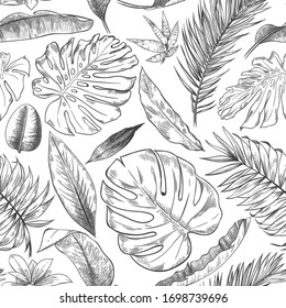 Hand drawn tropical leaves pattern. Sketch drawing palm branch, monstera leaf and exotic forest plants leaf seamless vector background illustration. Flora foliage rainforest, wildlife forest seamless