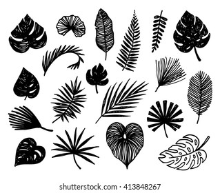 Hand Drawn Tropical Leaves Silhouette Vector Set