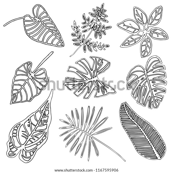 Hand Drawn Tropical Leaves Trendy Black Stock Vector Royalty Free