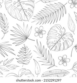 Hand drawn tropical leaves. Vector seamless pattern of jungle line leaves, flowers, palm and monstera leaf. Nature floral background for wrapping paper, print, web, summer botanical banner.