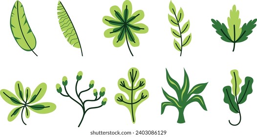Arte vectorial de hojas tropicales dibujadas a mano