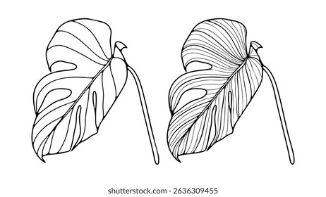 Folhas de monstros tropicais desenhadas à mão. Ilustração de vetor de linha fina de folhas tropicais sobre fundo branco