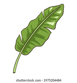 Hand Drawn Tropical Organic Banana leaf. Line drawing Botanical element for logo, cosmetics, spa, beauty care products