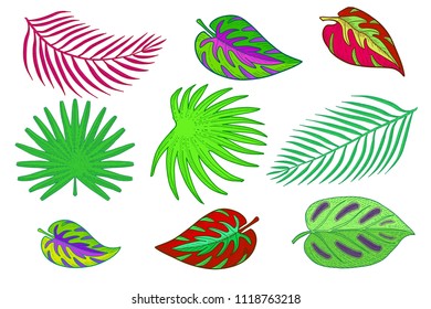 Hand drawn tropical palm leaves set.