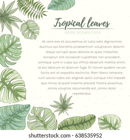 Hand drawn tropical palm leaves card. Summer vector illustration of areca palm, banana leaves, monstera, fan palm can be used as invitation, postcard, menu, flyer banner or website decoration.