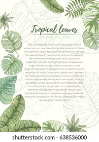 Hand drawn tropical palm leaves card. Summer vector illustration of areca palm, banana leaves, monstera, fan palm can be used as invitation, postcard, menu, flyer banner or website decoration.