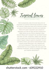 Hand drawn tropical palm leaves card. Summer vector illustration of areca palm, banana leaves, monstera, fan palm can be used as invitation, postcard, menu, flyer banner or website decoration.