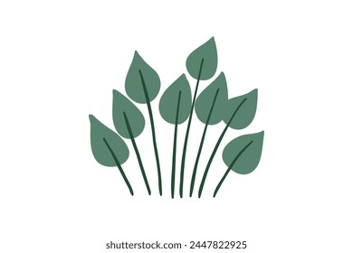 Hand drawn tropical plant with exotic leaves. Jungle, exotic plants. Vector illustration in flat style.