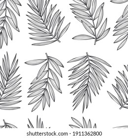 Hand drawn tropical plants.Vector seamless pattern