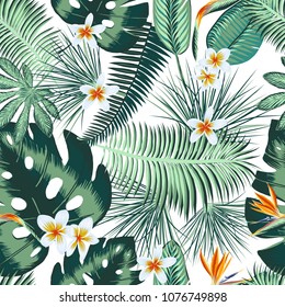 Hand drawn tropical seamless pattern wallpaper of tropical plant. EPS8