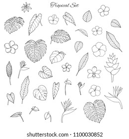 Hand drawn tropical set with monstera and banana leaves, hibiscus, heliconia, plumeria, anthurium, orchid and bird of paradise flowers isolated on the white background. Elements for coloring books.