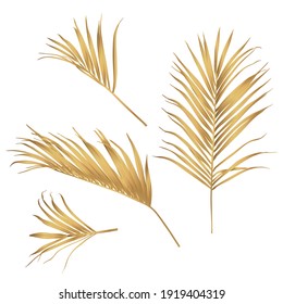 Hand drawn  tropical summer design element: golden palm tree leaves, line art. 