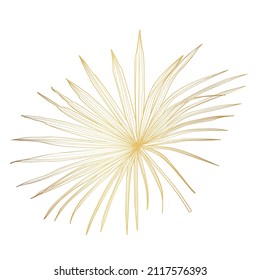 Hand drawn  tropical summer design element: golden fan palm tree leaves, line art. 