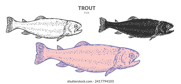 Peces de trucha dibujados a mano aislados en fondo blanco. Establezca el elemento de dibujo animado en la versión de contorno, monocromo y color. Ilustración vectorial en estilo retro de grabado vintage.