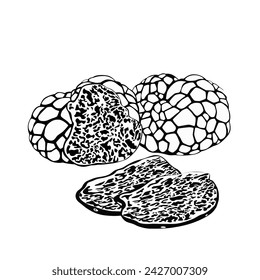 Hand drawn Truffle mushroom isolated on a white background.