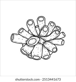 Handgezeichneter röhrenförmiger Meeresschwamm. Vektorgrafik einzeln auf weißem Hintergrund.