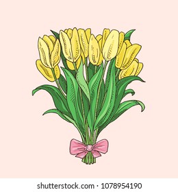 Hand drawn tulip bouqet. Beautiful yellow flowers. Spring symbol.