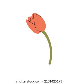 hand drawn tulip element for your design