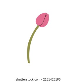 hand drawn tulip element for your design