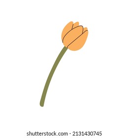 handgezeichnetes Tulpenelement für Ihr Design