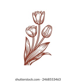 Hand Drawn Tulip Flower Illustration, Tulip Floral Line Art