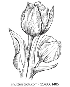 Black White Handdrawn Flowers Illustration Stock Illustration ...