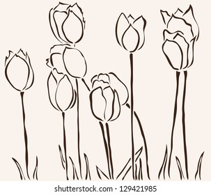 hand drawn tulip flowers for your design