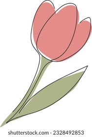 Hand drawn tulip isolated on white background. Vector illustration