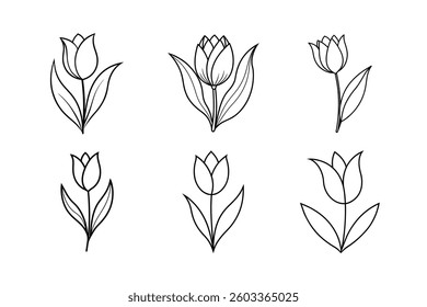 Hand Drawn Tulip Outline Set Delicate Floral Line Art.