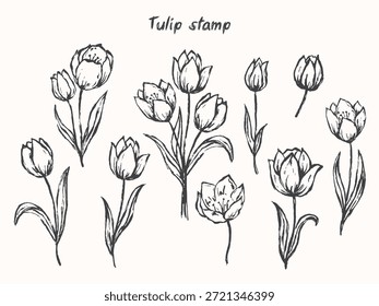 ilustração de vetor de selo de tulipa desenhada à mão com flores texturizadas e folhas. Adequado para impressões, cartões de saudação, papelaria, embalagem e design de superfície