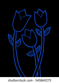 Hand drawn tulips